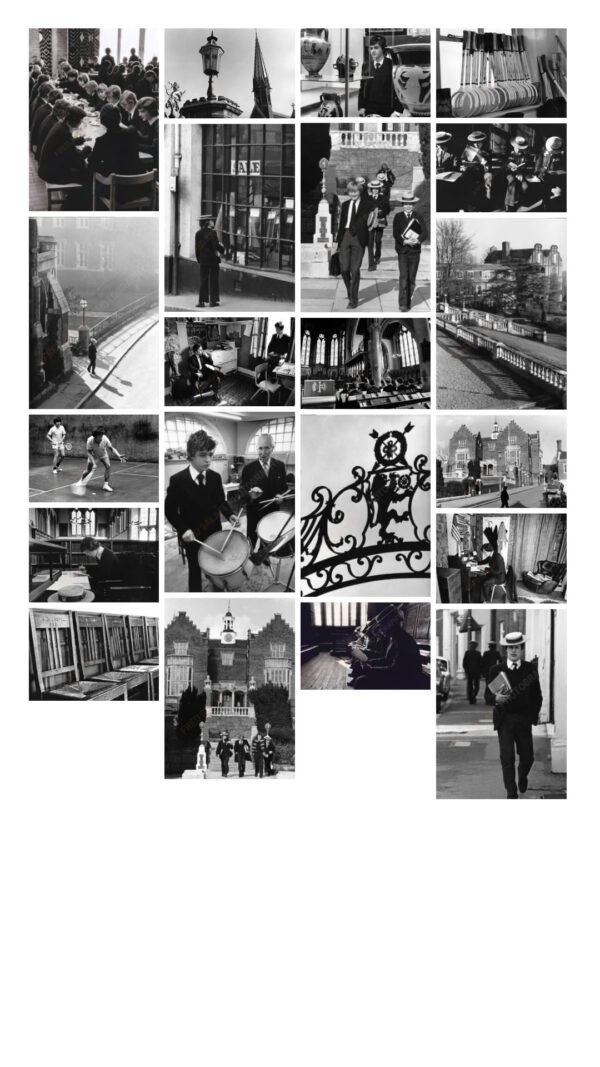 Lifetime subscription - Image 2