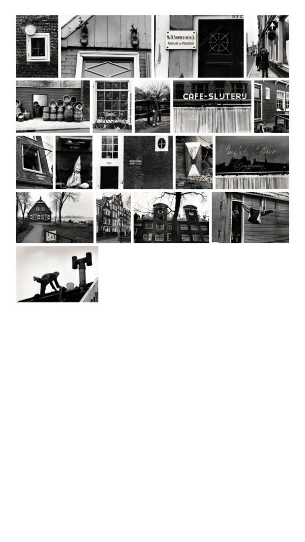 Lifetime subscription - Image 4