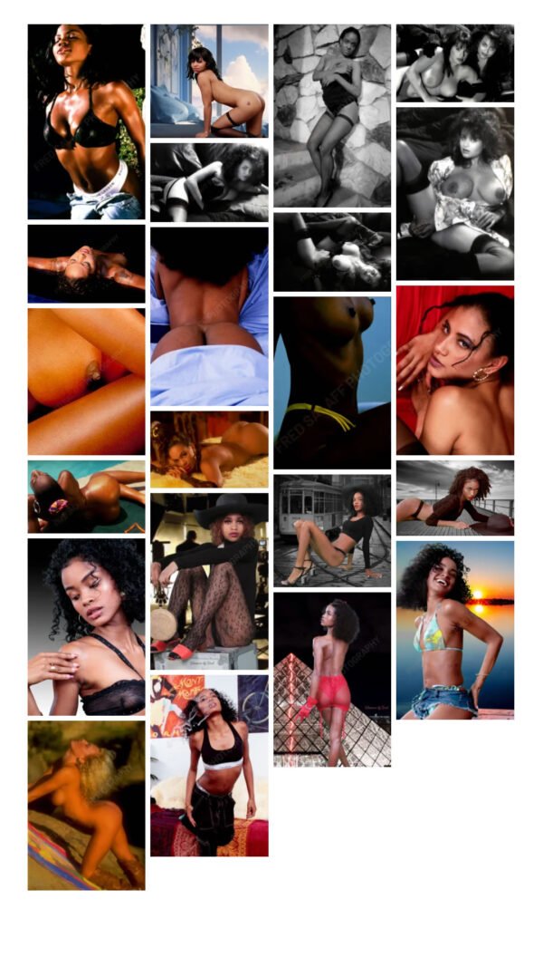 Lifetime subscription - Image 3