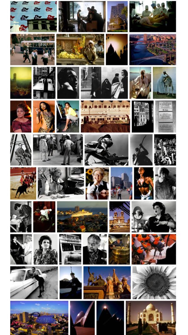 Lifetime subscription - Image 7